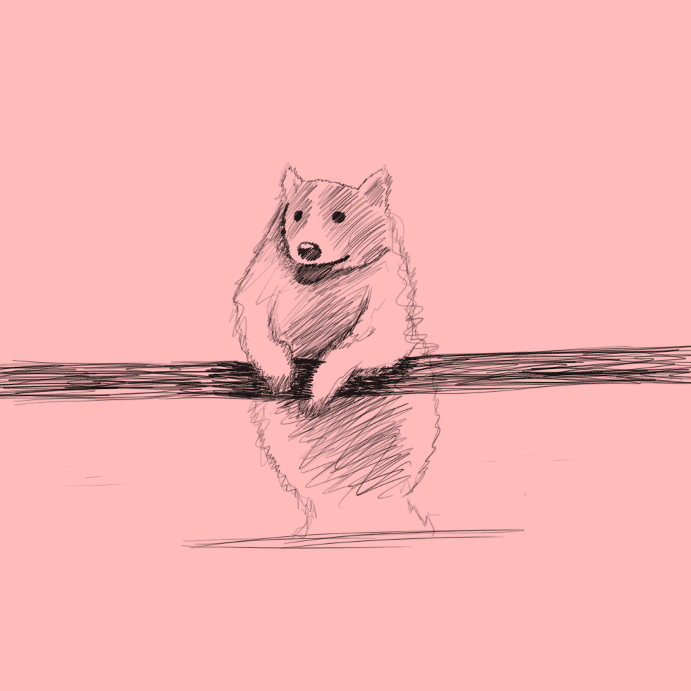 Fat Corgi - Rotoscope anim